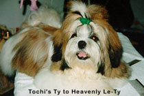 Tochi's Ty to Heavenly Le-Ty